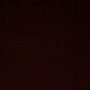 Meet your Posher, Rayven